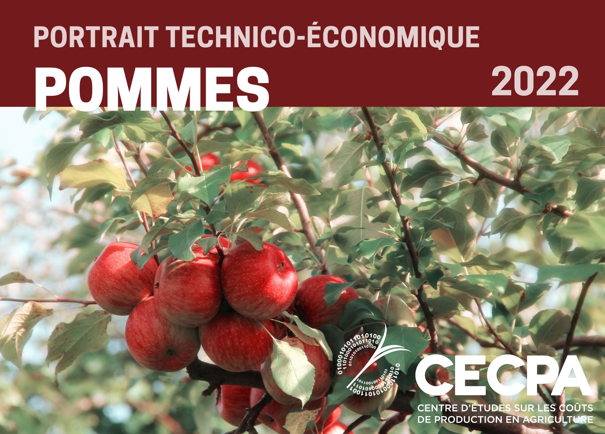 étude : PORTRAIT TECHNICO-ÉCONOMIQUE - POMMES 2022